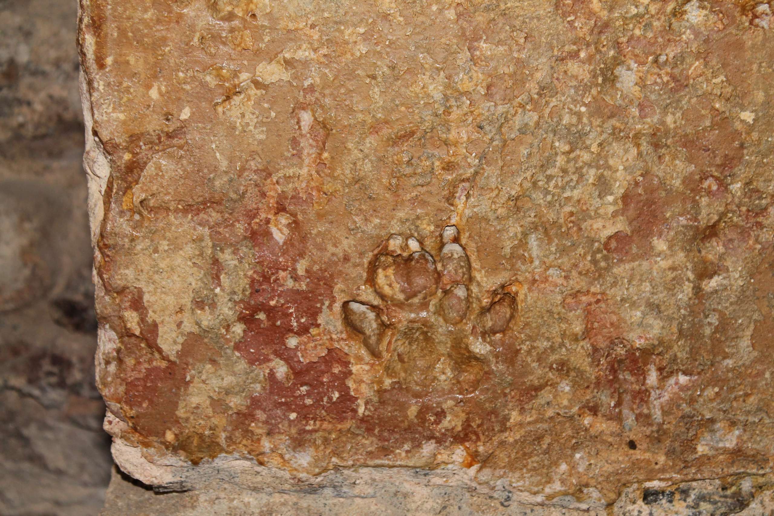 In vestigiis Templariorum “Sulle Orme dei templari” – Umbriatico (KR) 21.11.2021